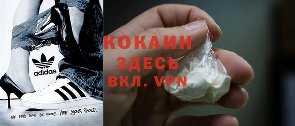 прущие грибы Нея