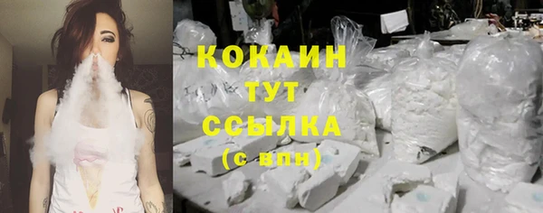 шишки Зеленокумск