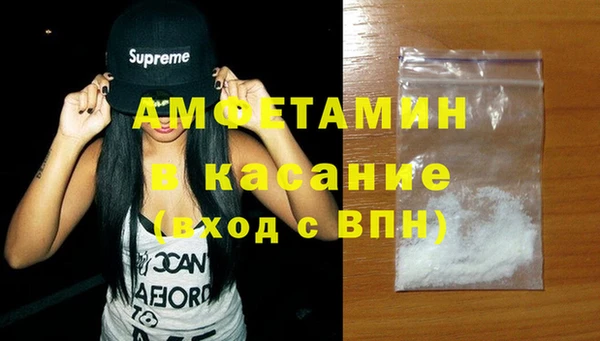 шишки Новозыбков