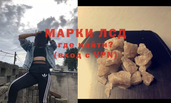 сатива Инсар