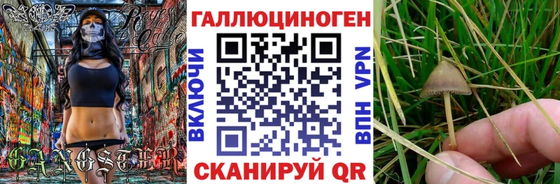 Галлюциногенные грибы Cubensis  купить  сайты  Старый Крым 